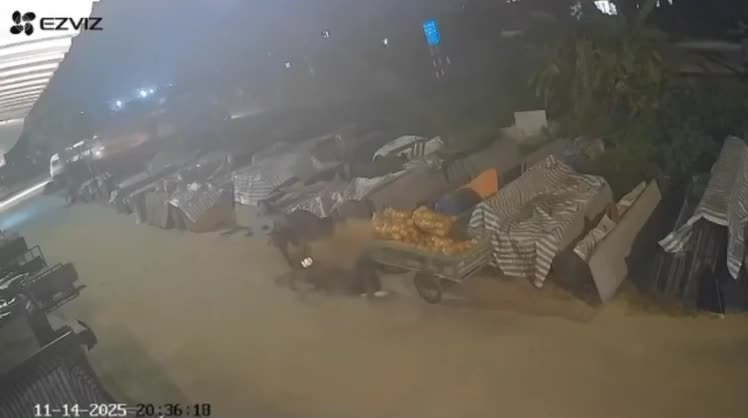 Hải Phòng: 3 báo thủ nhí phóng tốc độ nhanh, tông vào đuôi xe khách