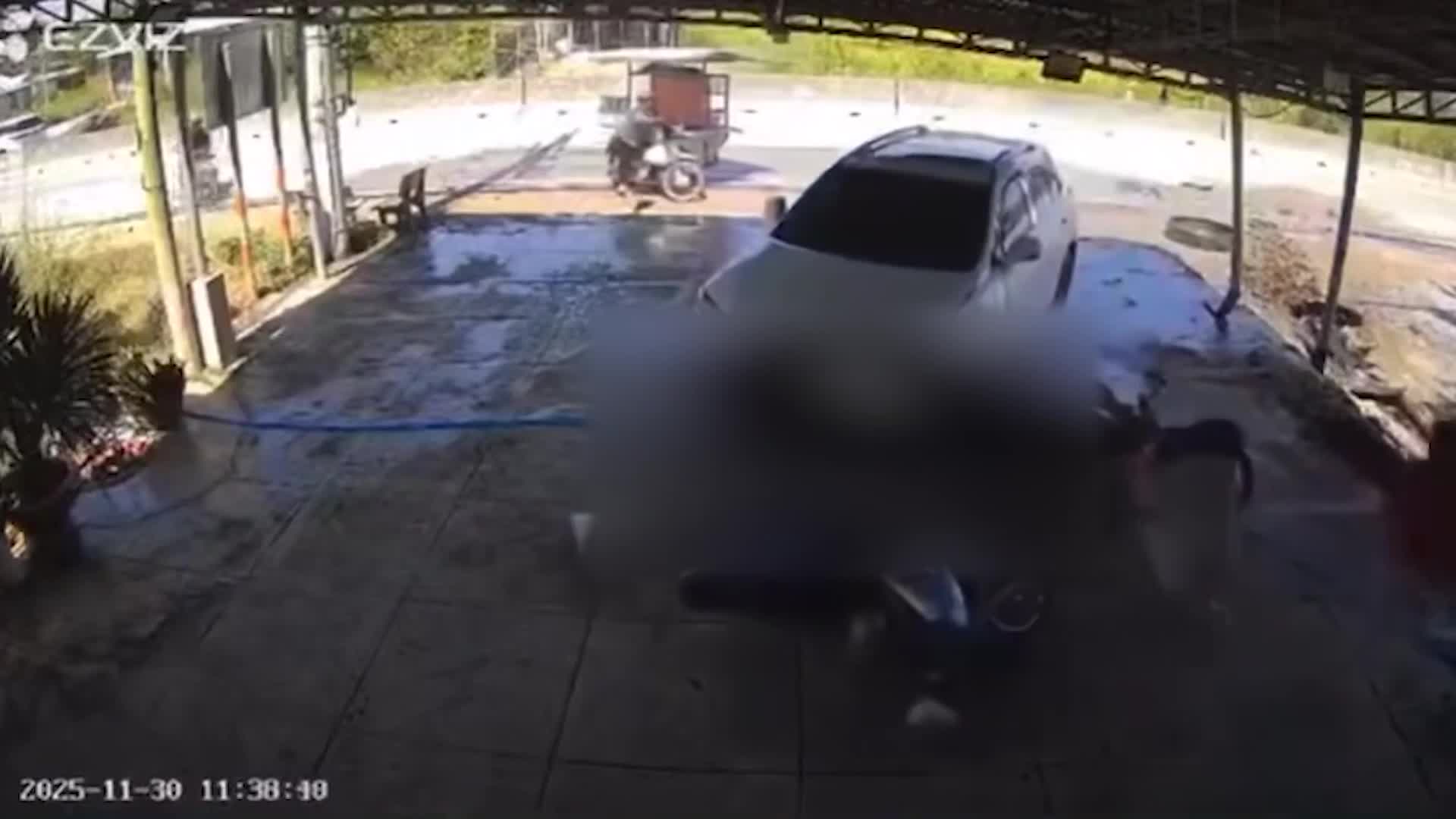 Anh trai lái ô tô tông em gái tử vong ở Tây Ninh vì mâu thuẫn gia đình