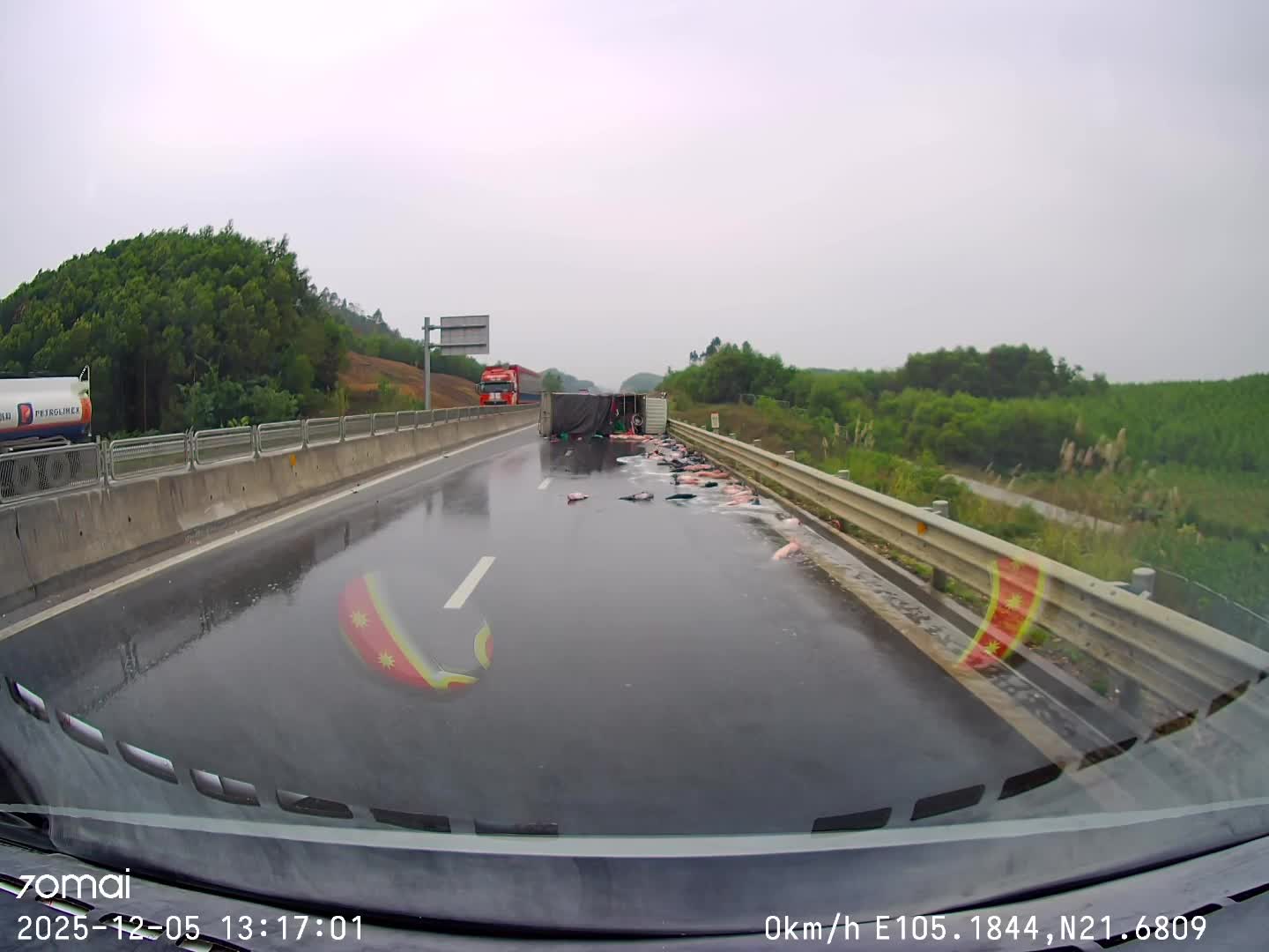 Đâm vào dải phân cách trên cao tốc, xe tải chở cá lật ngang ra đường