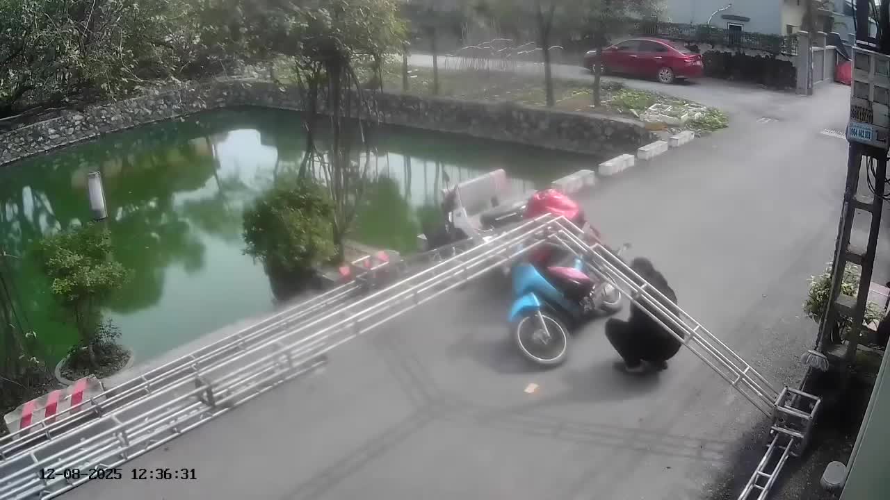 Shipper vừa lái xe vừa dùng điện thoại, đâm mạnh vào khung rạp đang dựng chắn xuống đường