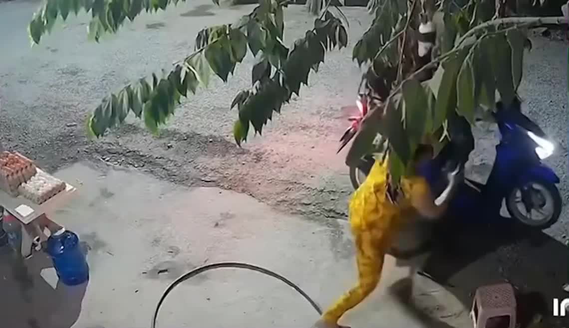 Hai thanh niên cướp điện thoại và cái giá phải trả