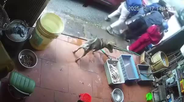 Ô tô tông vào xe máy chạy cùng chiều