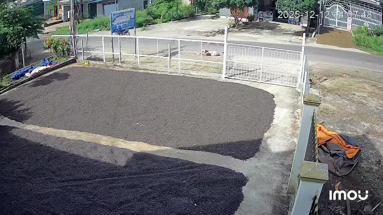 Xe bán tải tông người đang đi bộ rồi bỏ trốn khỏi hiện trường