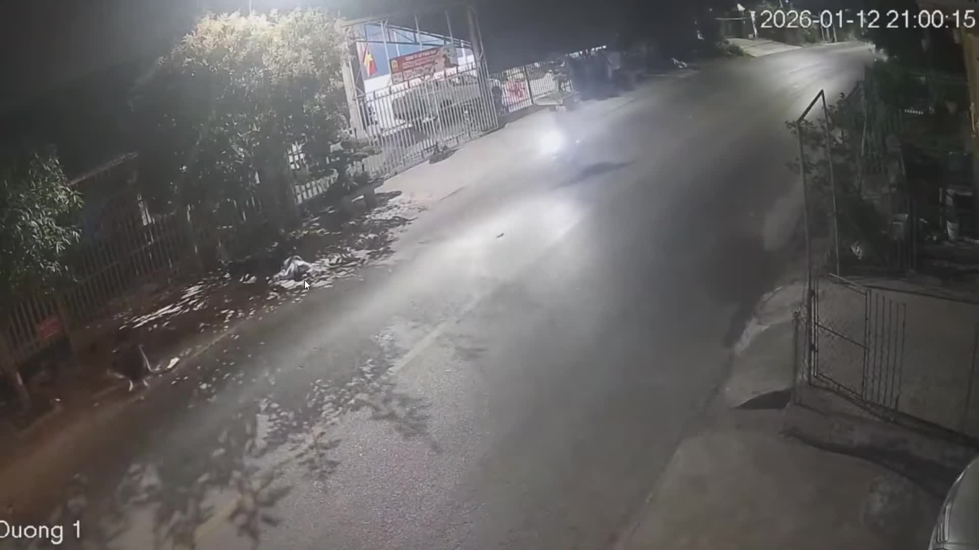 Xe mất phanh, hai bố con tông lên vỉa hè