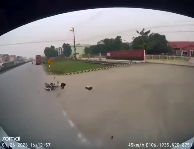 Va chạm với container