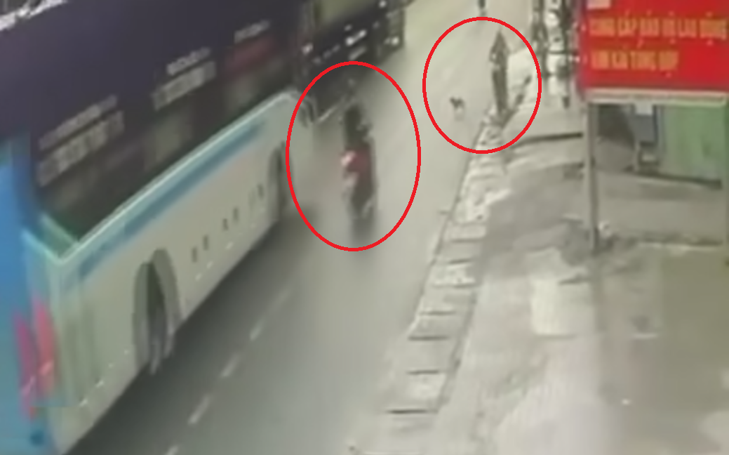 Tránh chó chạy qua đường, người đàn ông va chạm với xe khách tử vong