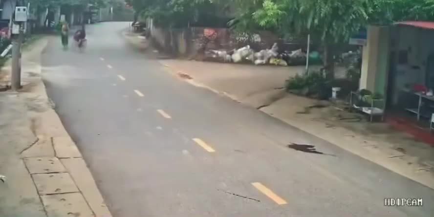 Phú Thọ: 2 người phụ nữ đi xe đạp va chạm với nhau, 1 người tuvong