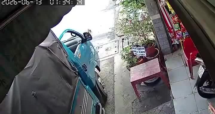 Ô tô cán trúng con chó